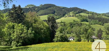 Green green grass of home - sonnige, einzigartige Lage im Grünen - einfach ein Grünoase