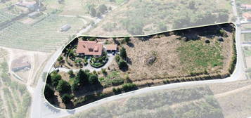 Propriedade Exclusiva: Quinta de 8.703 m² com Moradia T5 em Lamego