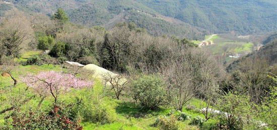 Maison familiale aux portes des Cévennes - Bail locatif en cours