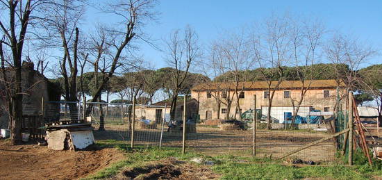 Proprietà rustica in vendita in via dei Falaschi, 1