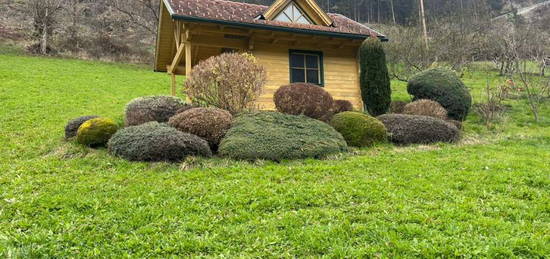 Gartenhaus mit großem Grundstück in Hanglage zu vermieten