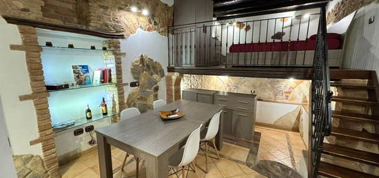 Loft in pieno stile Rustico