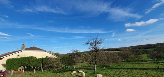 Ferme de plus de 200M2 habitables, très bonne exposition sur 6300M2 de terrain à saisir