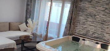 Appartement T2 avec jacuzzi