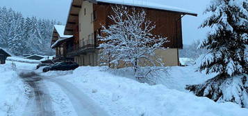 Appartement 2 pièces avec terrasse à Xonrupt-Longemer