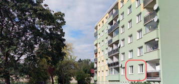 Byt 1+1, 43 m², Klatovy, 339 01