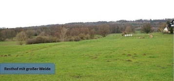 15.000m² großer Resthof mit Weide, Stallungen und Scheune im Auetal (Nähe Hannover)