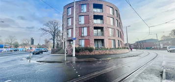 1 bed flat to rent