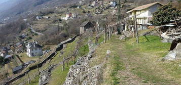 Casa Indipendente Domodossola [MarDom0424VRG]