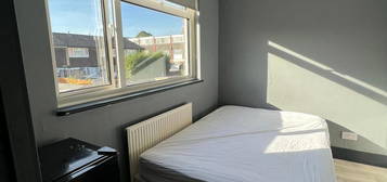 1 bed flat to rent