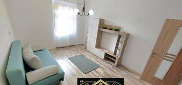 Bd. Bucuresti, apartament cu 2 camere, etaj 1, mobilat, 280€/Luna