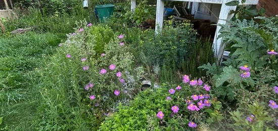 Mitbewohner: in für eine 2er Haus-WG mit Garten in Jakomini gesucht