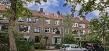 Ruisdaelstraat 65