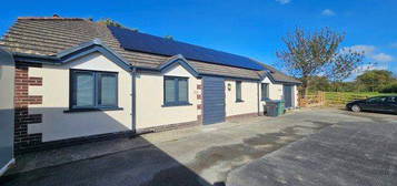 Bungalow to rent in Llwyncelyn, Aberaeron SA46