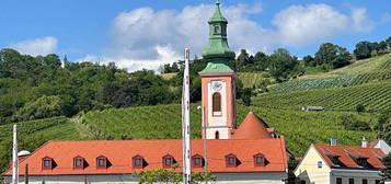 RESIDIEREN AM FREIHOF im Herzen der Weinberge - Historischer Charme kombiniert mit dem Zeitgeist der Moderne