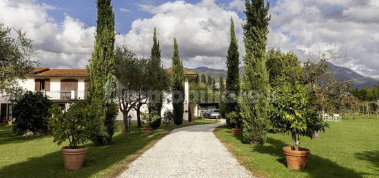 Villa unifamiliare via Puglie 35, Pietrasanta