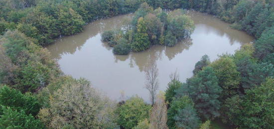 Grande maison spacieuse avec vue imprenable sur son étang de plus d'un hectare