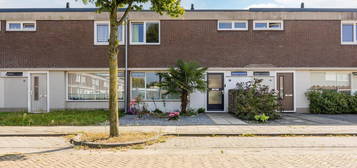 Hoeckelumstraat 9