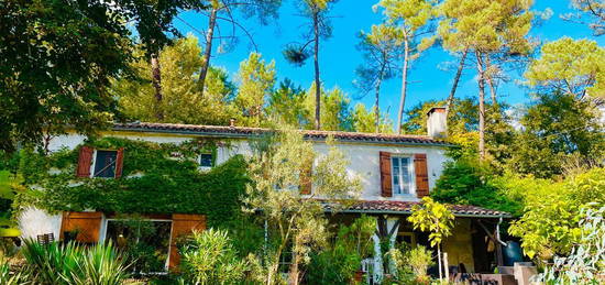 Maison pierre en pleine forêt des landes de Gascogne