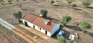 Venda Quinta/Herdade