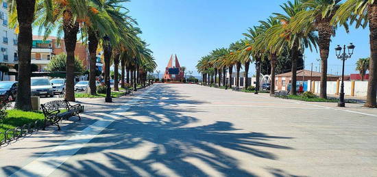 Piso en paseo De Las Palmeras en Bailén