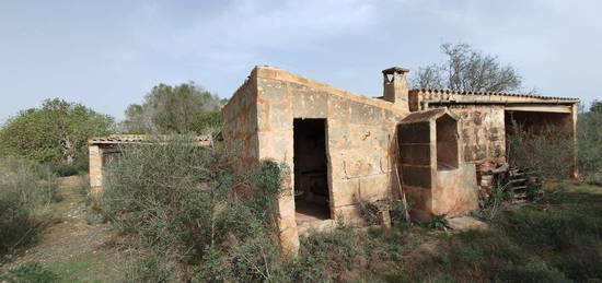 Finca rústica en venta en Campos