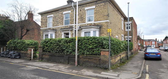 1 bed flat to rent