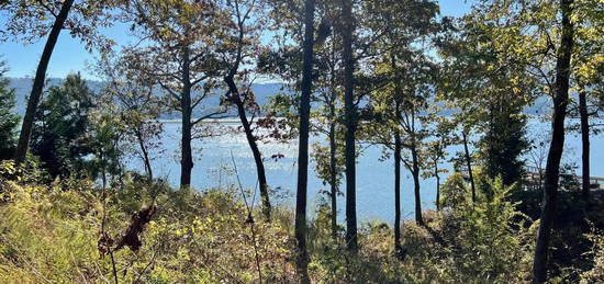 lot 252 Lookout Mountain Dr, Scottsboro, AL 35769