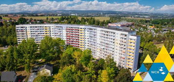 Helle 1-Raumwohnung mit Erzgebirgsblick aus 11. Etage