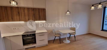 Pronájem bytu 2+kk 55 m², V Třešňovce, Hlavní město Praha