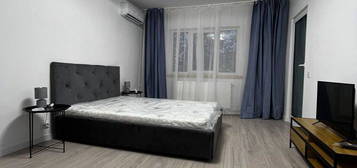 Apartament cu 1 camera Nicolina