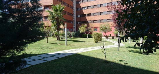 Piso de alquiler en De la Ilustracion, Campus de la Salud