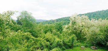 Nagymaroson 1150 nm-es, panorámás telken két szintes épült kertes ház
eladó. 