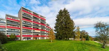 Gemütliche 1-Zimmer-Wohnung mit Balkon und Aussicht in Starzach