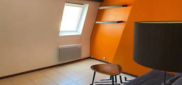 Appartement t2 19m2 rénové