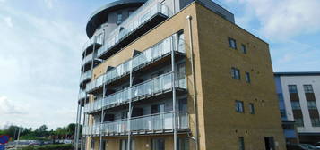 1 bed flat to rent