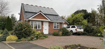 Bungalow to rent in Heritage Green, Forden, Welshpool, Powys SY21