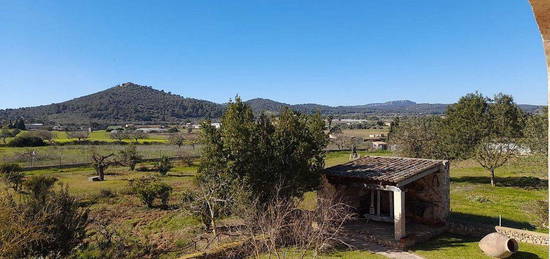 Casa en calle De Sa Pedrera en Porreres