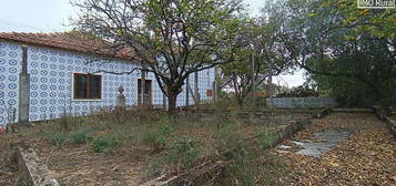 Quinta Em Santarem (16,165Ha)