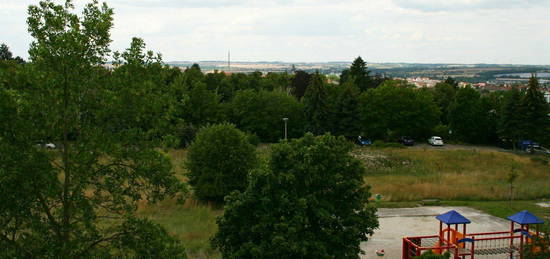 Große 1-Raumwohnung mit Einbauküche und tollem Blick