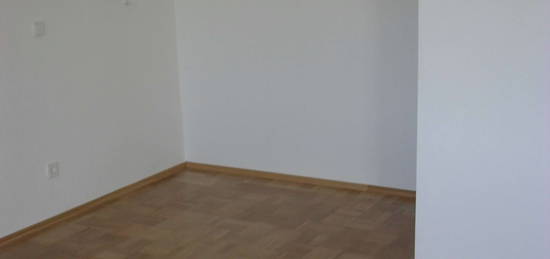 1 Zimmerwohnung mit Parkettfussboden