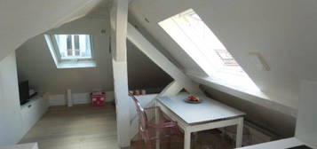 Studio sous les toits villeparisi