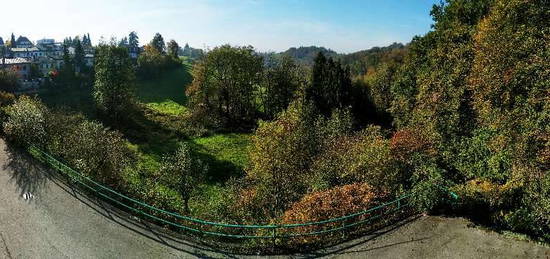 91m² Wohnung am Pöstlingberg, direkt am Waldrand mit herrlicher Aussicht im Grand Hotel Stil