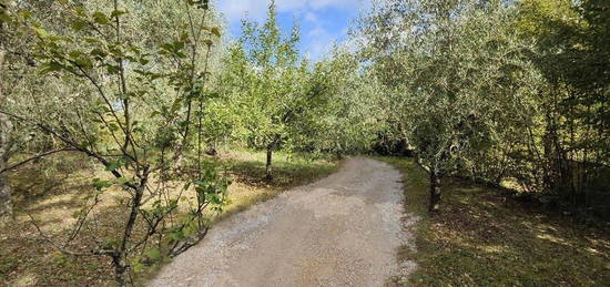 Quadrilocale in vendita in strada di Montalbuccio s.n.c