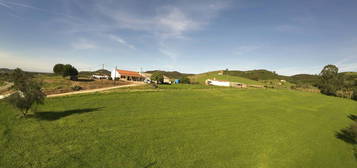 Quintinha no Alentejo com Grande área edificada