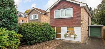 Detached house to rent in Hamlyn Gardens, Crystal Palace SE19