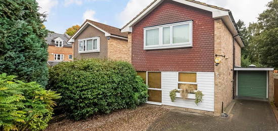 Detached house to rent in Hamlyn Gardens, Crystal Palace SE19