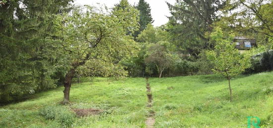 Eine Oase der Ruhe beim Augustinerwald - Vielseitige Nutzung möglich