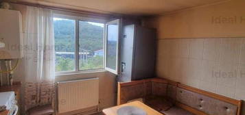 Apartament 2 camere, 2 nivele. Nicolina, strada Libertatii