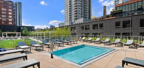 River North Park Apartments and Townhomes, Chicago, IL 60654